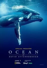 ดูหนังออนไลน์ฟรี Ocean with David Attenborough (2025)